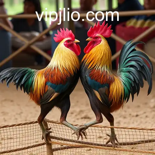 Sabong Games: A Deep Dive into the World of Cockfighting